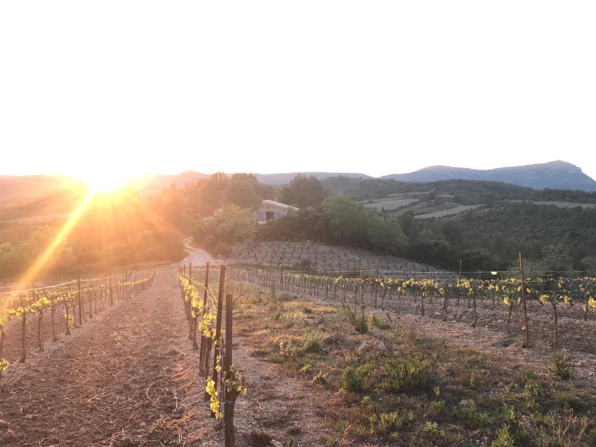 Bergerie Eco-Gite Serre Rouge Durban-Corbieres Bagian luar foto